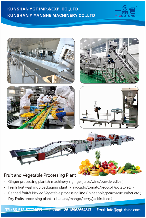 5T/H SUS304 Beverage Processing Equipment with Sort Conveyor