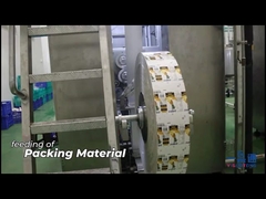 Pineapple Juice Puree Beverage Production Processing Line UHT Sterilizing