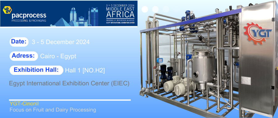 Pineapple Juice Puree Beverage Production Processing Line UHT Sterilizing