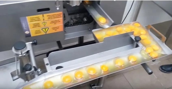Best Selling SUS304 Egg Separator Machine Egg Breaker Machine Liquid Egg Processing Line