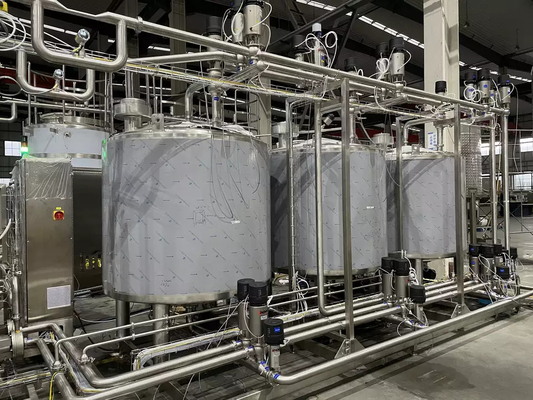 High Performance Complete Pineapple Processing Line Customized Pineapple Production Plant Machine With PLC For Fruit Industry