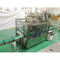 Complete Pineapple And Mango Juice Processing Line Automatic
