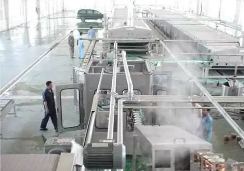 High Performance Customized Ginger Processing Line Carrot/Ginger/Beet Production Plant Machine For Vegetable Industry With PLC