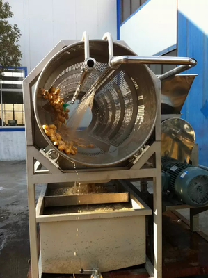 High Performance Customized Ginger Processing Line Carrot/Ginger/Beet Production Plant Machine For Vegetable Industry With PLC