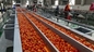 Ketchup Tomato Paste Production Line High Efficiency 1000kg/H