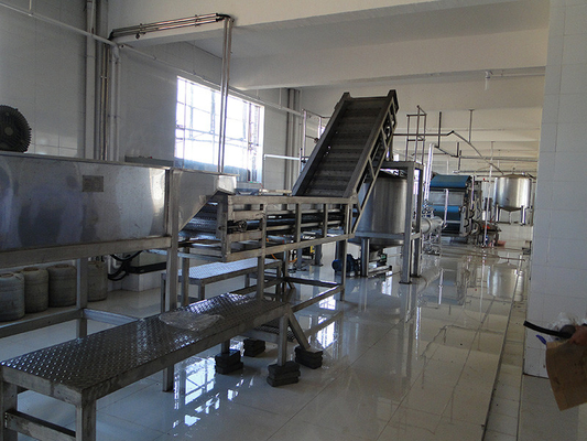 Complete Kale Processing Line Celery/Kale/Cucumber Production Plant Customized Equipment For Vegetable Industry