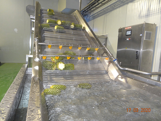 High Performance Complete Pineapple Processing Line Customized Pineapple Production Plant Machine With PLC For Fruit Industry
