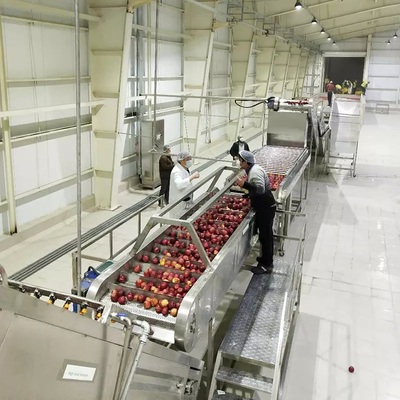 High Cost Performance Complete Pear Processing Line Customized Apple/Pear Production Plant Pear Juice Euipment Pear Pulp Machine
