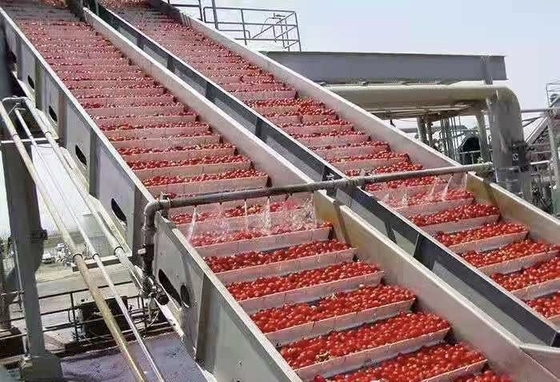 High Performance Customized Blueberry Processing Line Blueberry/Strawberry/Raspberry Production Plant Blueberry Juice/Pulp/Jam Machine With PLC