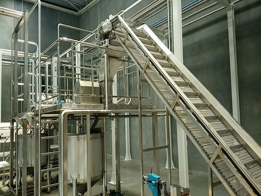 High Performance Customized Blueberry Processing Line Blueberry/Strawberry/Raspberry Production Plant Blueberry Juice/Pulp/Jam Machine With PLC