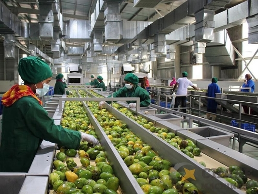 High Quality Customized Mango Juice Processing Machine Mangga/Mango Pulp Production Plant Mango Processing Line Sus304/316