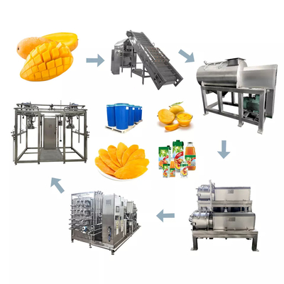 High Quality Customized Mango Juice Processing Machine Mangga/Mango Pulp Production Plant Mango Processing Line Sus304/316