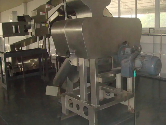 SUS304/316 Complete Pitaya Processing Line Customized Passion Fruit/Pitaya/Guava Production Plant Equipment With PLC For Fruit Factory