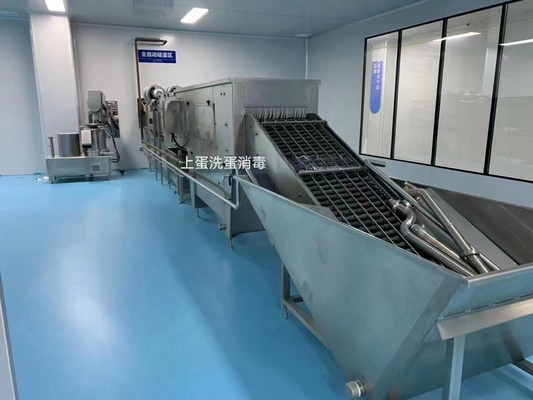 Liquid Egg Process Plant With Break And Separation Pasteurizer Filling Machinery