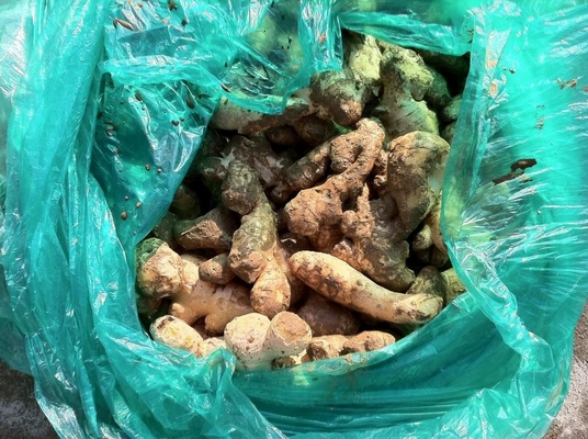 Industrial Ginger Juice Extractor By Crushing And Juicing With Adjustable Pressure Regulating Head