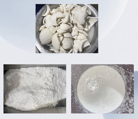 New Big Screw Extractor For Coconut Milk With Pressure Adjustable Higher Rate Output