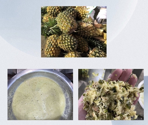 Pineapple Juicer Machine By Screw Pressing Industrial Factory
