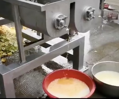 Pineapple Juicer Machine By Screw Pressing Industrial Factory