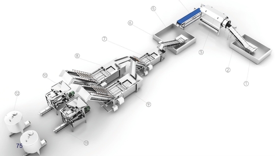 5tph Acai Berry Pulp Process Plant / Berry Pulp Processing Machine Factory