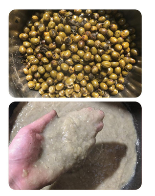 Acai Berry Pulp Processing Technology And Machinery / Acai Berry Pulp Manufacturing Plant