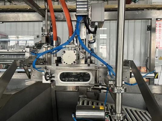Full Automatic Aseptic BIB Filler For 2L/10L/20L Continuous Bag In Box Juice/Milk/Oil Filling Machine With PLC