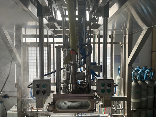 High Performance Double Heads Filling Machine Customized 20-1000l BID Bag In Drum Aseptic Filler Ton Box Filler For Dairy Beverage Factory