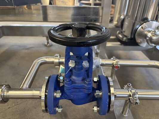 500 to 20000 Liters per hour Capacity Pasteurization Sterilizer Stainless Steel 304 or 316 for Food and Beverage Processing