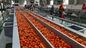 Tomato Mango SUS304 Fruit Processing Line 5T/H 15T/H Capacity
