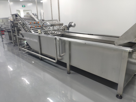 SUS304/316 Complete Pitaya Processing Line Customized Passion Fruit/Pitaya/Guava Production Plant Equipment With PLC For Fruit Factory