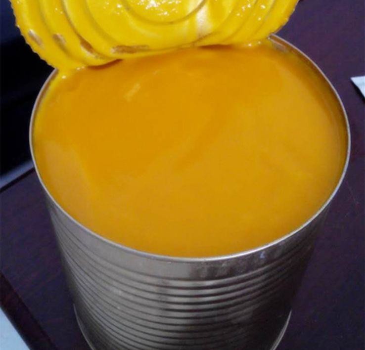 Siemens Electronic Control Mango Jam Making Machine 10T/H SUS304